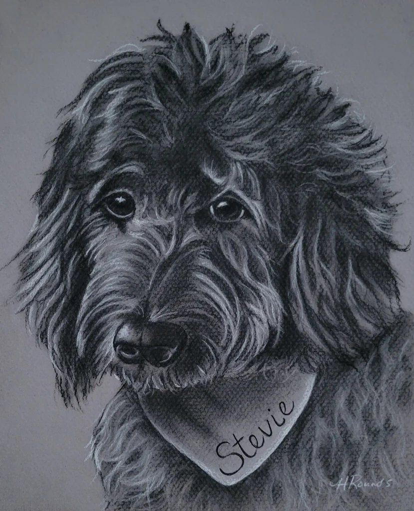 Commissioned Pet Portrait Drawing of A Dog, 8 x 10 in charcoal/pastel drawing on toned paper, pet portrait drawing of a cute dog with a bib that says "Stevie" by Heidi Rounds.