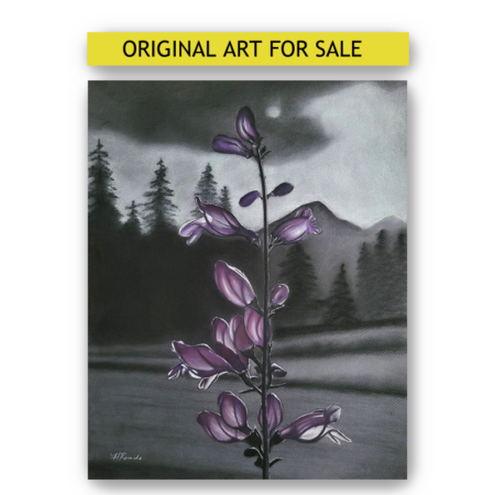 Rocky Mountain Wildflower 1, charcoal/pastel drawing on toned paper, original artwork, a purple wildflower from Rocky Mountain National Park in color against a black and white forest background, Heidi Rounds