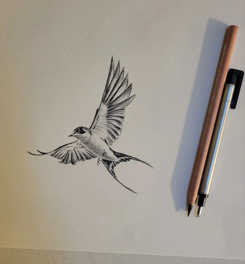 Commissioned Tattoo Design of a Bird, charcoal on drawing paper, a bird soaring by Heidi Rounds.